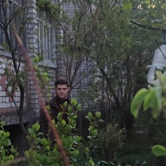 Дмитрий Серёгин