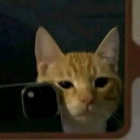 Егор Соколов