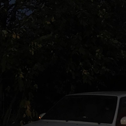 Илья Шушаков