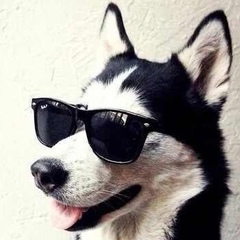 Дмитрий Смирнов