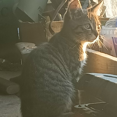 Павел Аксёнов